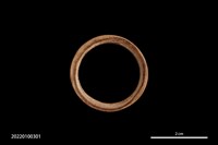 藏品(骨環)的圖片